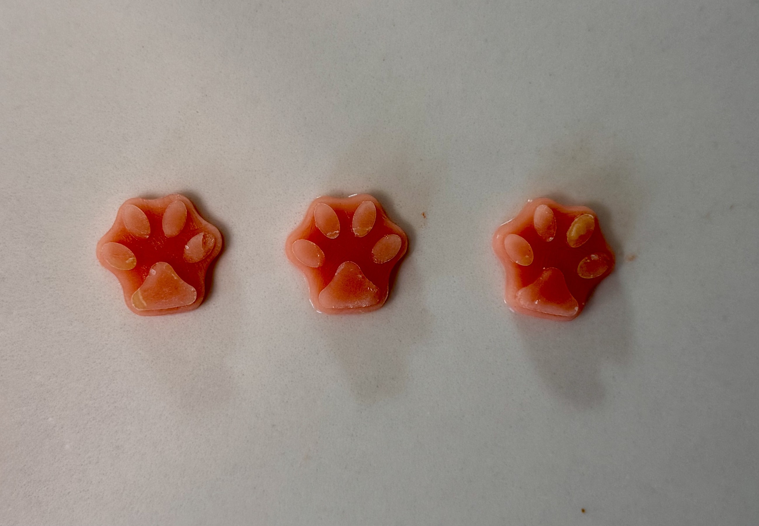 Frozen Watermelon Pupsicles for Senior Dogs